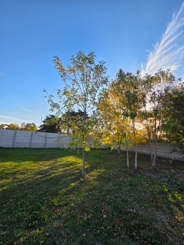 LOTE EN VENTA EN JOSE C. PAZ